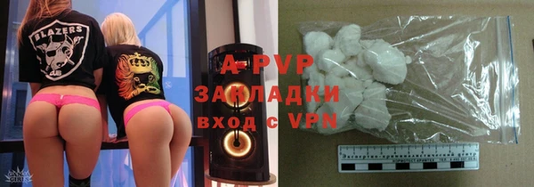 крисы Нея