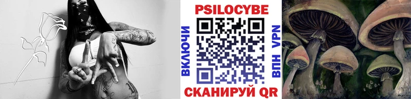 Галлюциногенные грибы Psilocybe  Купить  Светлый 